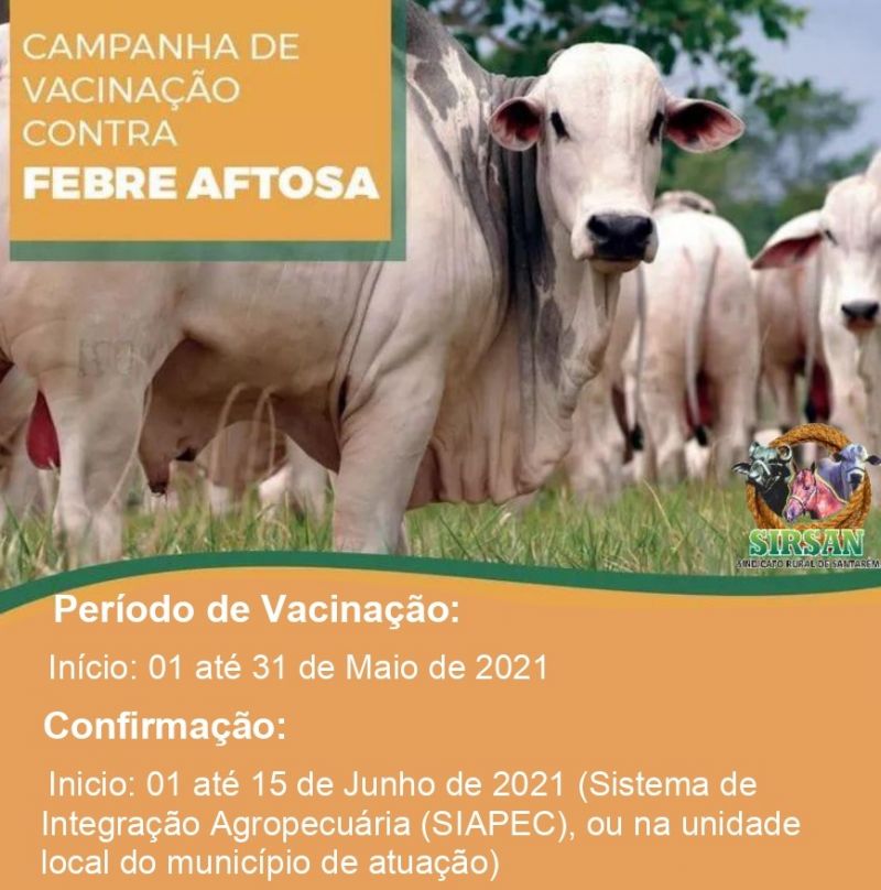 Período de vacinação